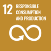 Sustainable Development Goals – Responsible Consumption And Production