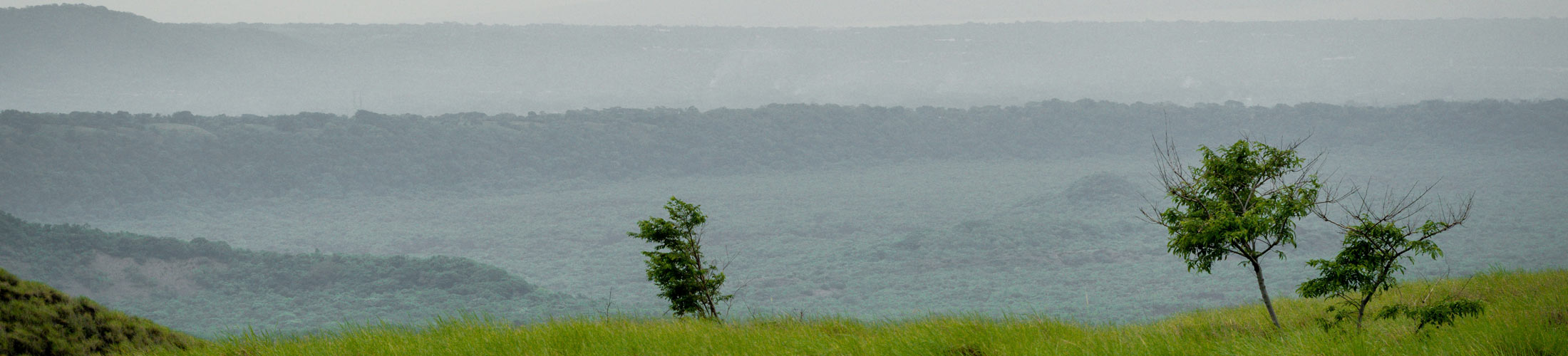Grassland with a few trees and hills in the background