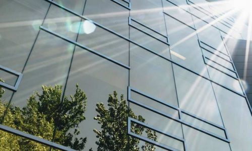 Facade of an office building mirroring vegetation