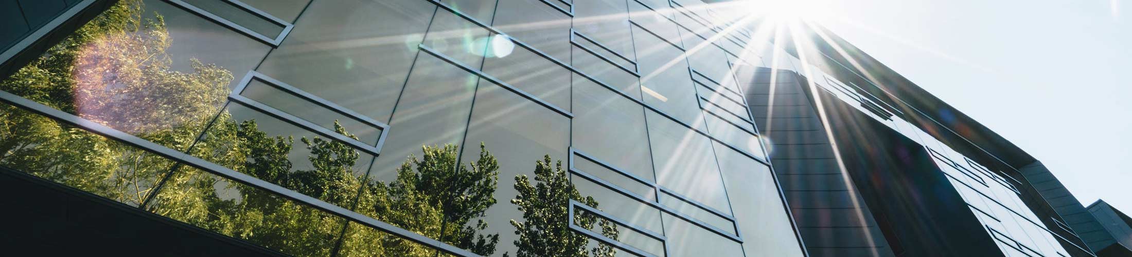Facade of an office building mirroring vegetation