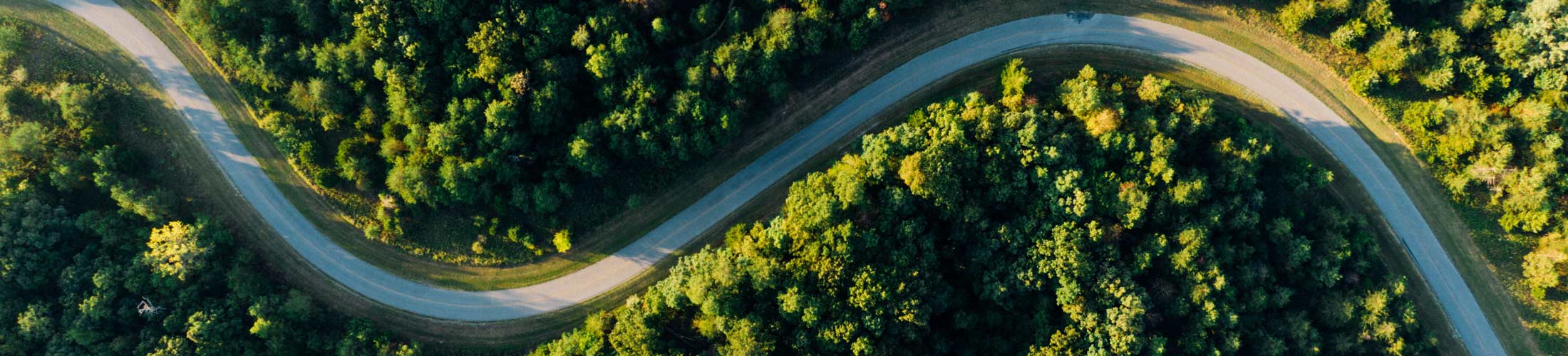 a winding road through a forest