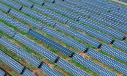A field of solar panels photographed from above
