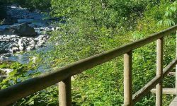 Wooden walkway alongside a river