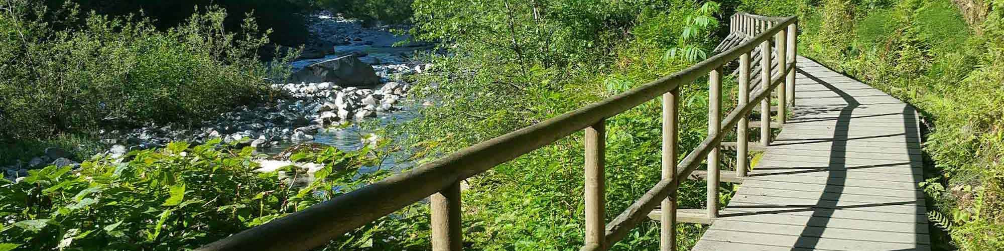 Wooden walkway alongside a river