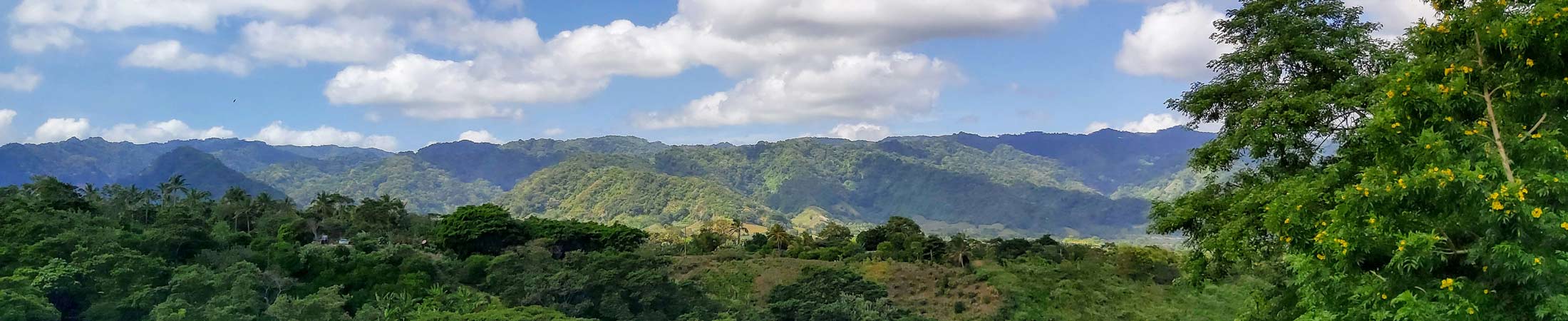 Lush landscape in Nicaragua under a blue sky with clouds